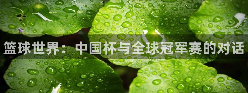 2026世界杯亚洲区预选赛：篮球世界：中国杯与全球冠军赛的对话