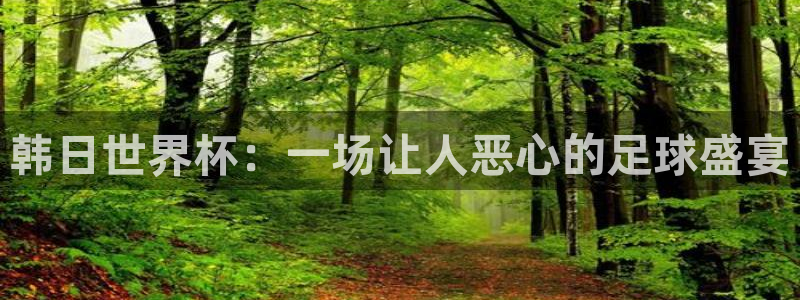 世界杯决赛预测：韩日世界杯：一场让人恶心的足球盛宴