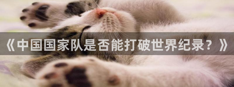 世界杯赛程表2026：《中国国家队是否能打破世界纪录？》