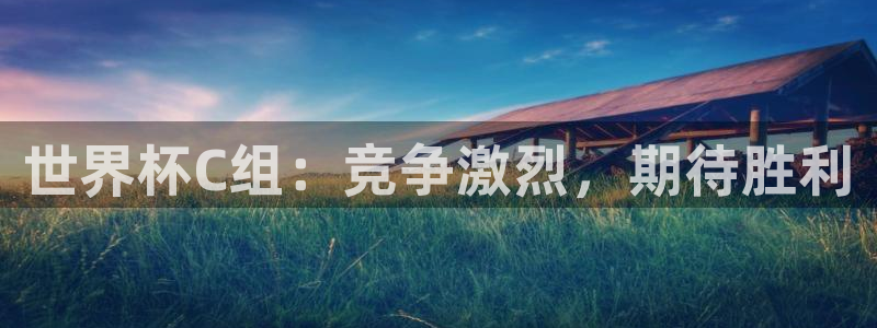 世界杯视频：世界杯C组：竞争激烈，期待胜利