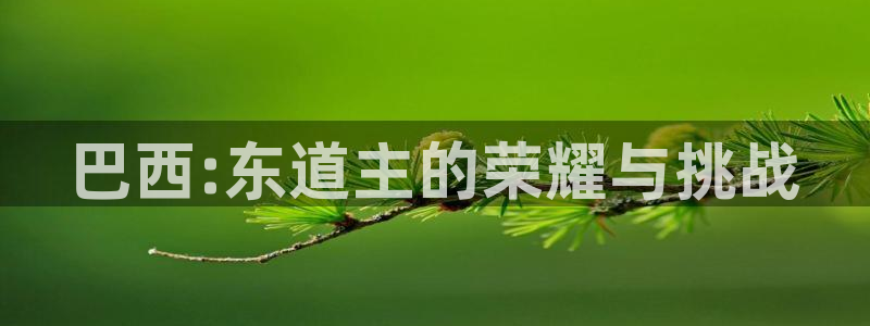 世界杯预赛赛程：巴西:东道主的荣耀与挑战