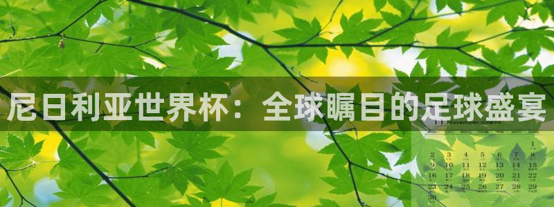 足球世界杯时间：尼日利亚世界杯：全球瞩目的足球盛宴