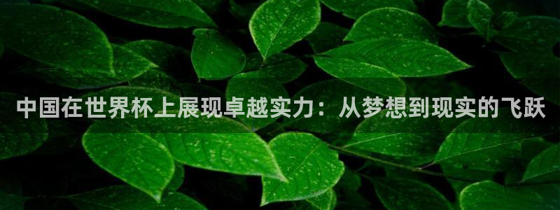世界杯直播在线观看入口：中国在世界杯上展现卓越实力：从梦想到现实的飞跃