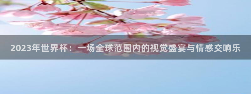 足球世界杯2026：2023年世界杯：一场全球范围内的视觉盛宴与情感交响乐