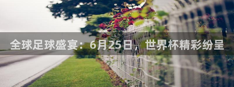 世界杯足球赛：全球足球盛宴：6月25日，世界杯精彩纷呈