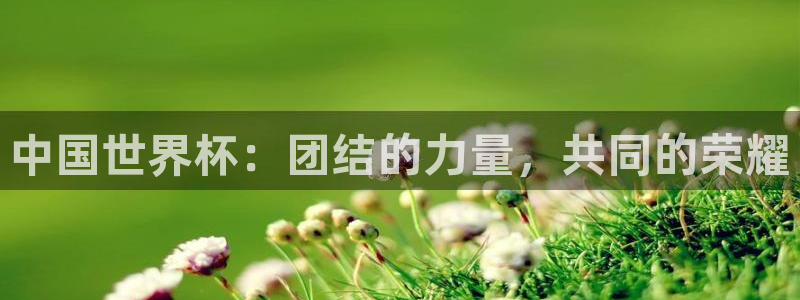 亚洲杯足球：中国世界杯：团结的力量，共同的荣耀