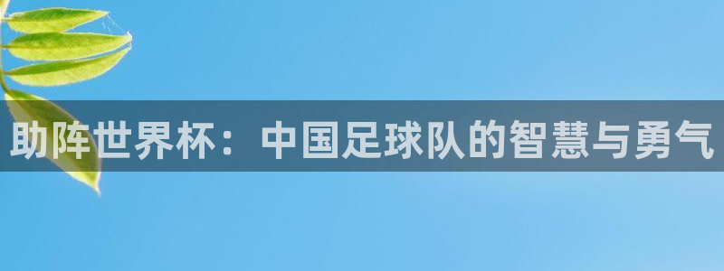 世界杯系列赛：助阵世界杯：中国足球队的智慧与勇气