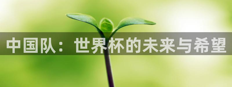 2026 世界杯：中国队：世界杯的未来与希望